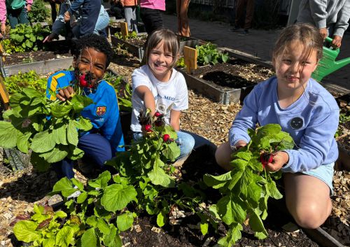 Ecologisch onderwijs