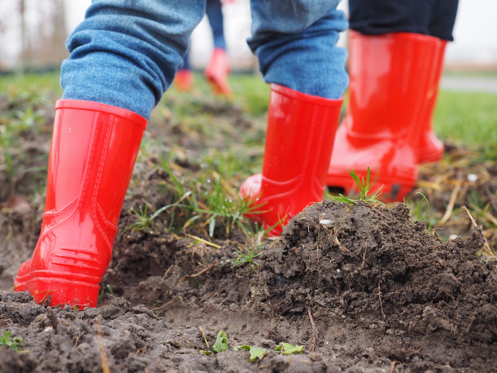 De missie en visie van basisschool De Verwondering in Almere Nobelhorst