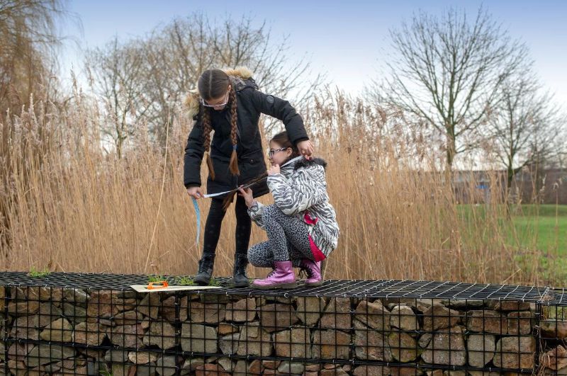 Ontwikkelingsgericht onderwijs
